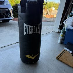 Punching Bag 