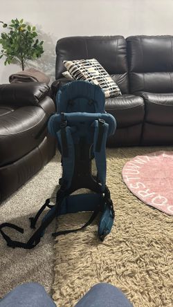 Evenflo Child Hiking Backpack