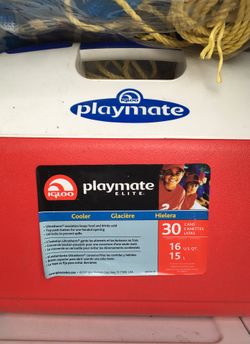 Play mate cooler