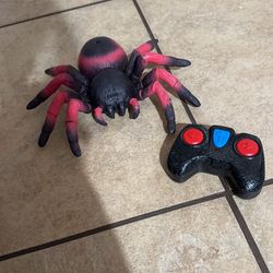 Spider With Remote Control