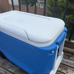 Cooler