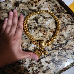 14" Miami Lock Gold Dog Collar 