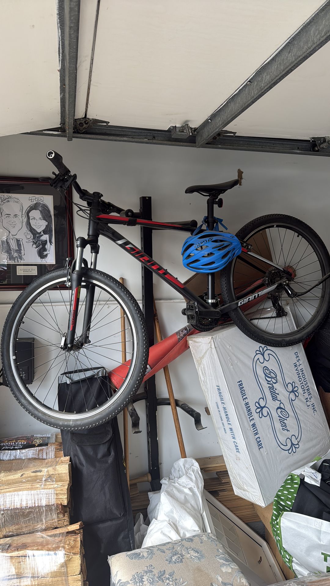 Boys, bicycle, medium size