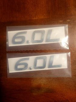 6.0 L Silver Badge New