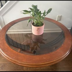 3 Pc Coffee Table Set 