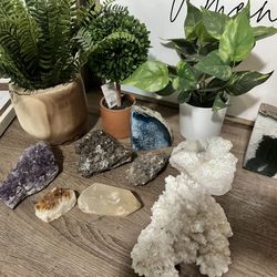Crystals And Fake Plants