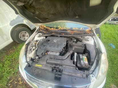 2002 Nissan Altima