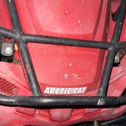 ArticCat 250