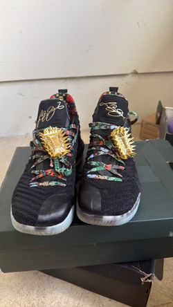 LeBron XVI