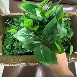 Box Of Green Artificial Leaves