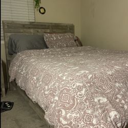 Bed Gray Color 