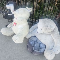 Free And Also Free Rugs