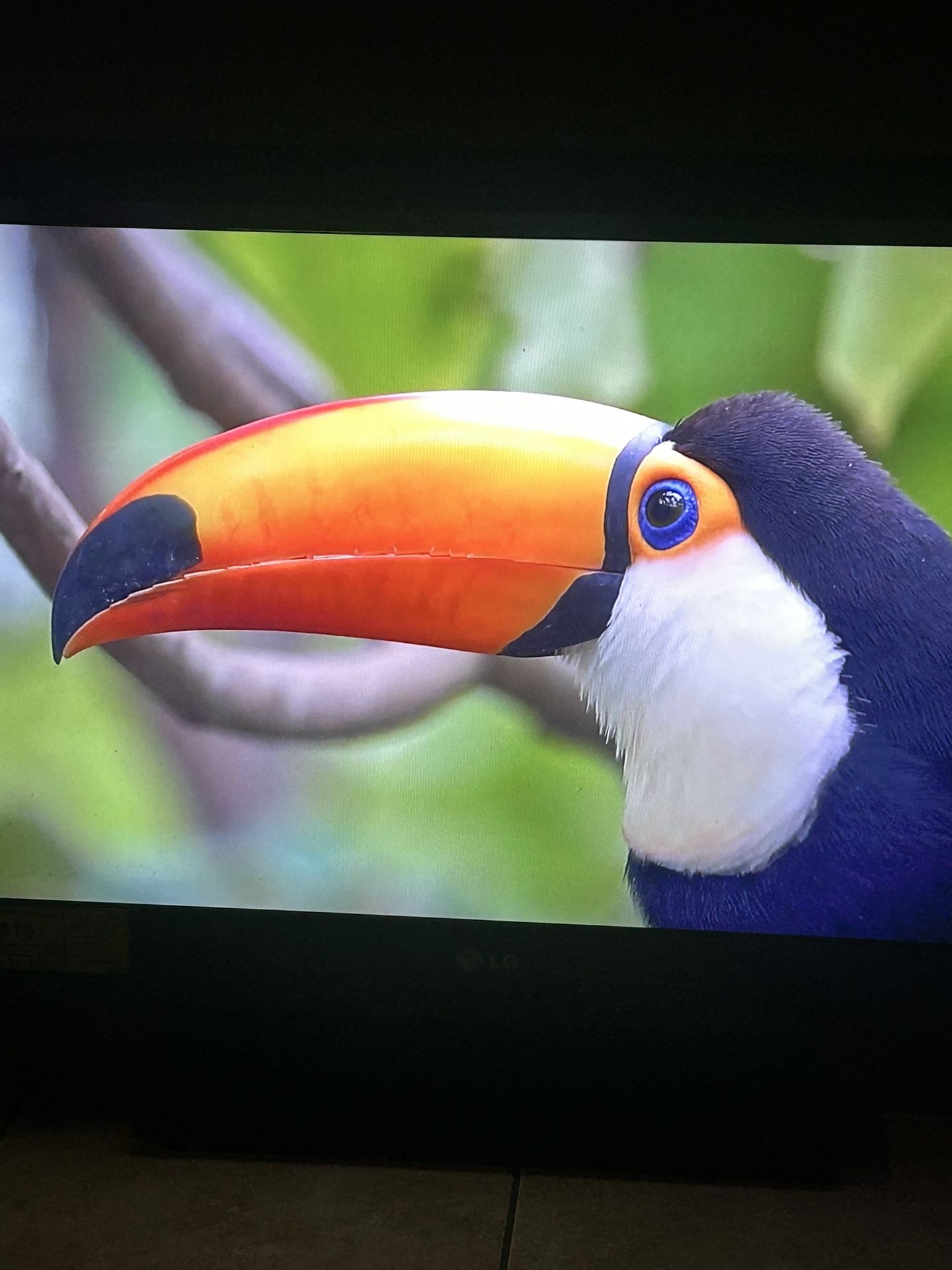 LG 32” Full HD LCD TV