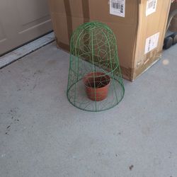 Plant Cloche