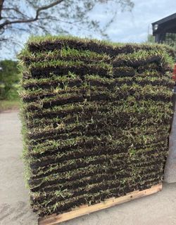 Full Pallets Of Grass Available