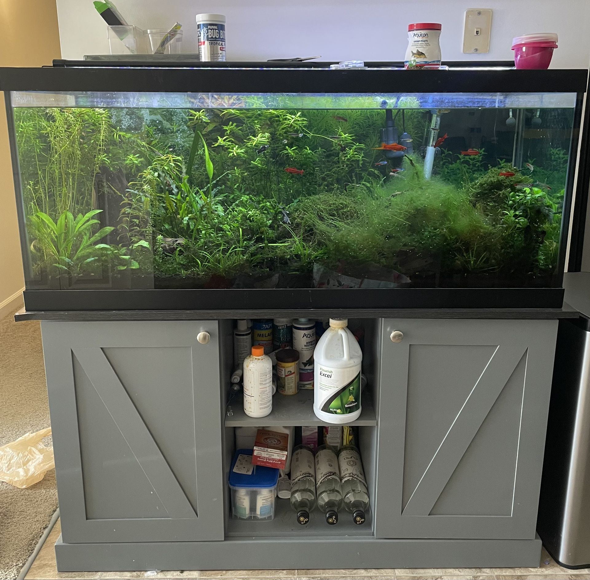 75 gallon fish tank aquarium 