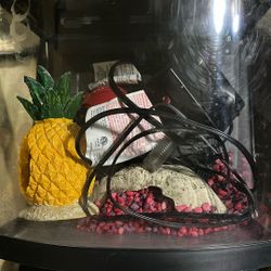 Fish Tank Small 