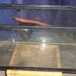 Fish Tank - 20 Gallon Fish Tank