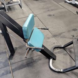 Cybex 45° Donkey Calf / Seatd Calf - Olympic Weight Plate Loaded - Commercial Gym Equipment