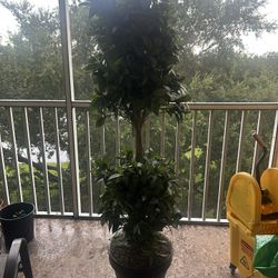 2 ÁRBOLES  ARTIFICIALES CON LUCES  INTEGRADAS
