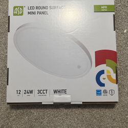 12 Inch LED Flush Mount Ceiling Light Fixture