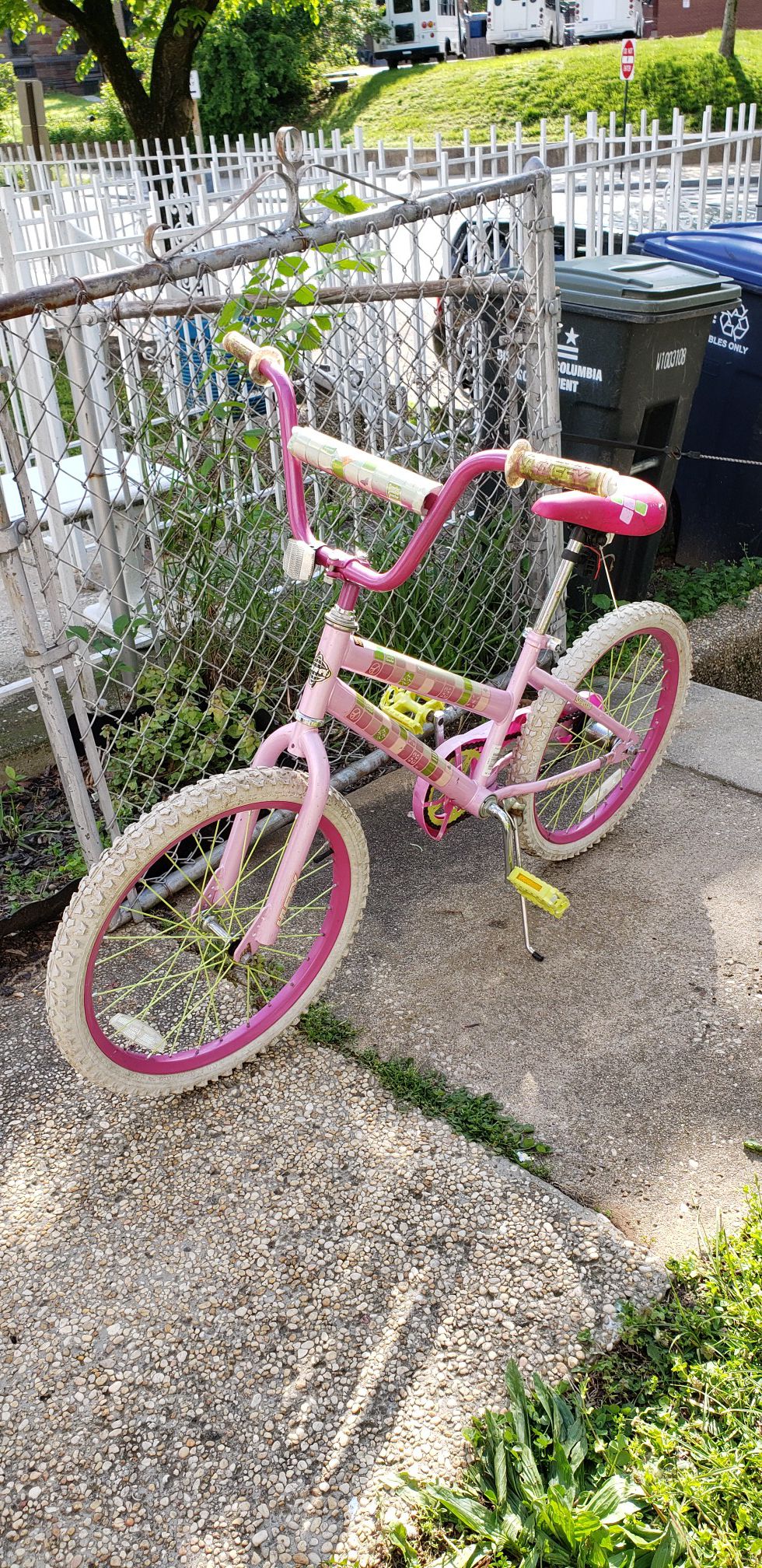 20" Girl's Bike