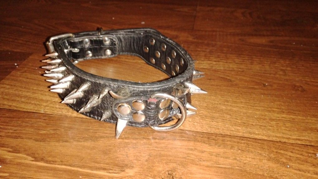 Dog Collar
