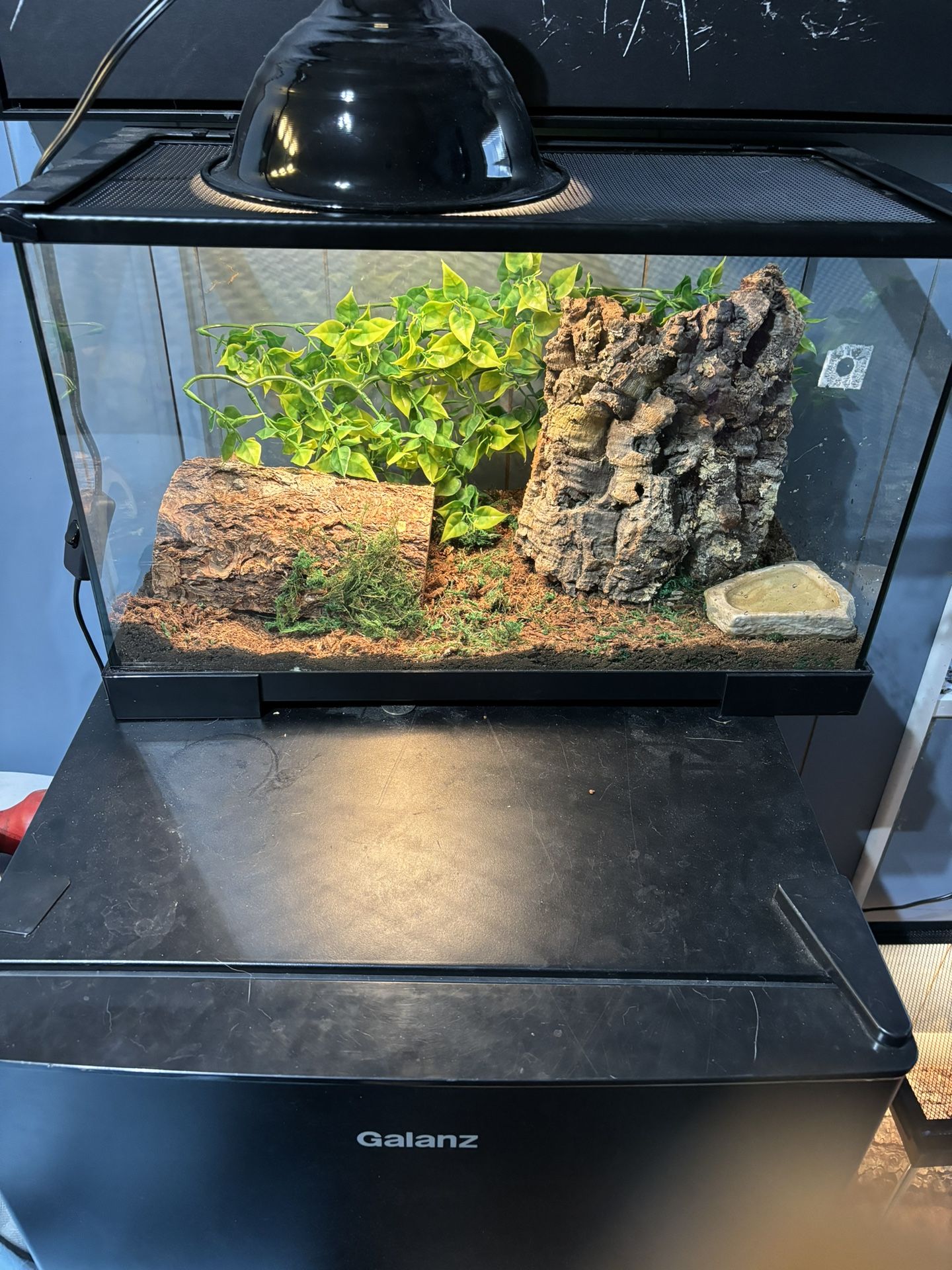 15 Gallon Snake Tank With Snake And All Accessories