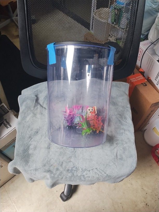 Acrylic cylindrical fish tank 9" wide x 12" tall + accessories