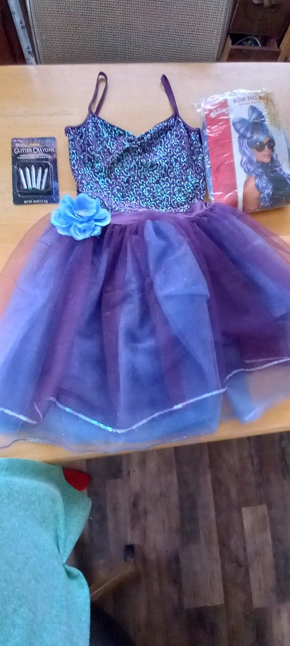 Beautiful Full Costume Blue & Purple Sequined Tutu With Wig & Make Up
