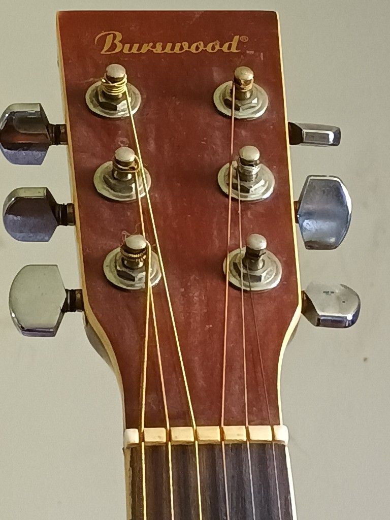Burswood Guitar With Camel Bone Bridge