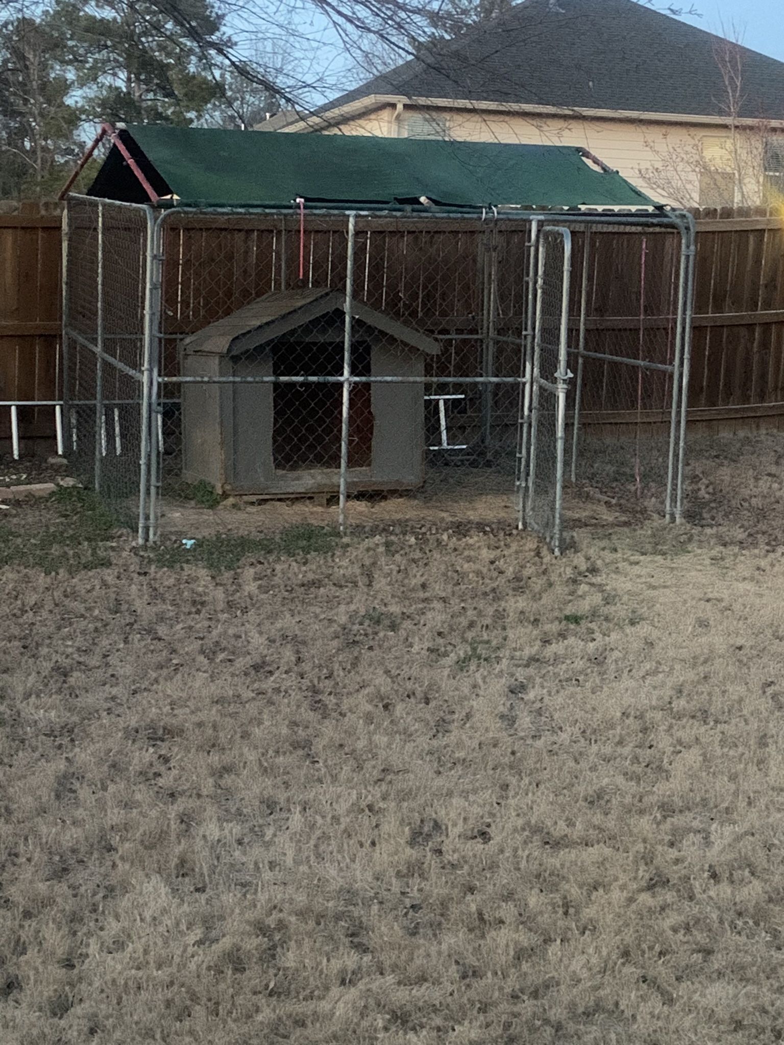 Dog Pin Or Dog House
