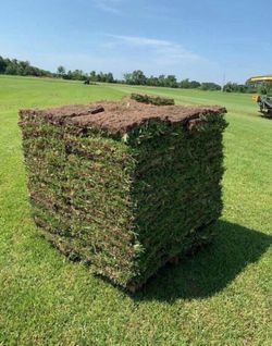 Pallets Of Sod Delivered