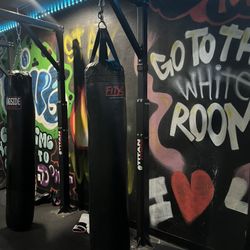 PUNCHING BAGS 