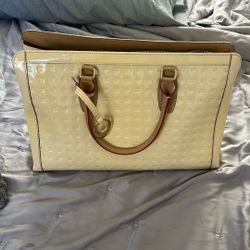 Arcadia Big Beige Purse