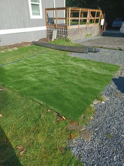 Summer Blend Max Synthetic Grass Roll 2"