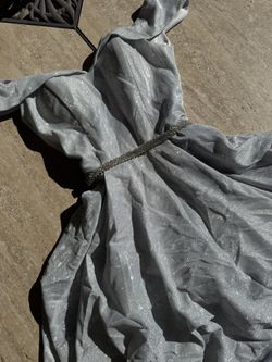 Sparkly Silver Dress 