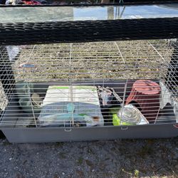 Hamster Cage
