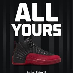Jordan Retro 12 Flu Game