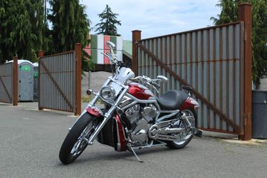 2002 Turbo V-Rod Harley-Davidson