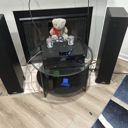 Sony Surround Sound and Polk Speakers
