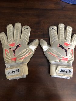 Puma Goalkeeper Gloves