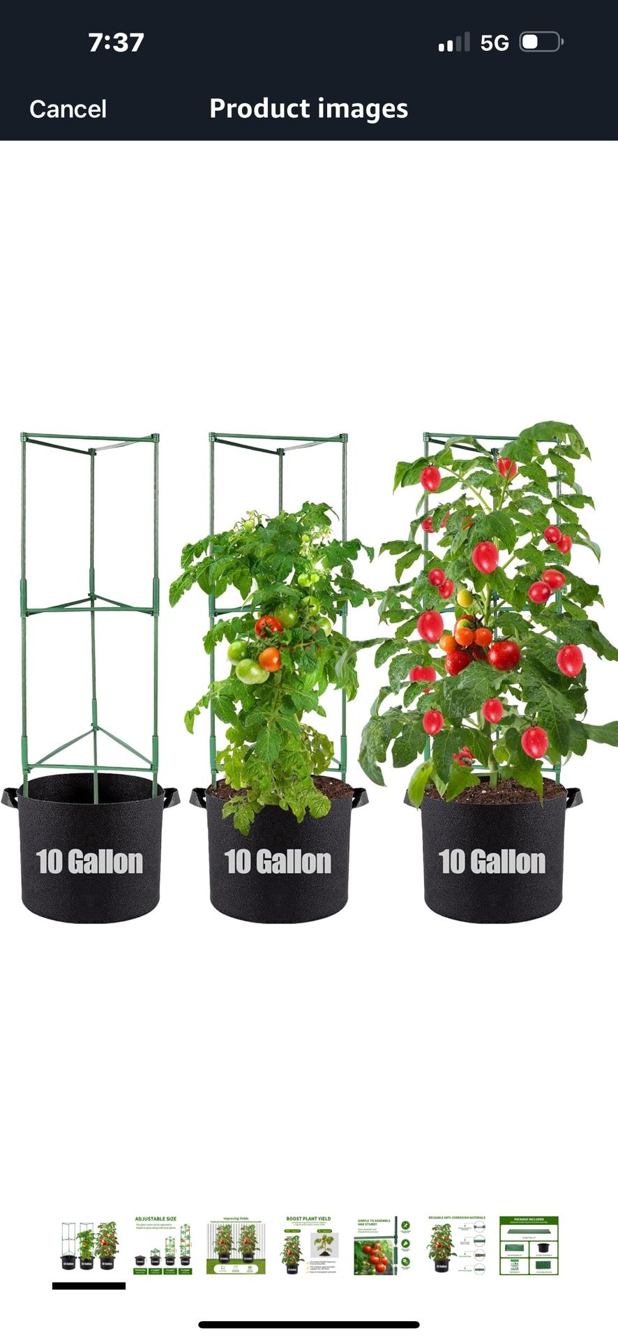 Heavy Duty Tomato Cages For Growing Tomatoes Three Pack