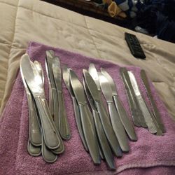 Stainless Steel Butter Knifes 21 Pieces.