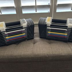 10-50 lb Adjustable Dumbbell Set 