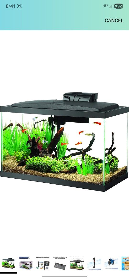 10 Gallon Fish Aquarium And ALL Accessories