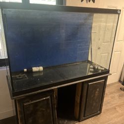 Huge Fish Tank With Stand