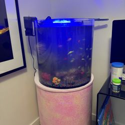 Fish Tank