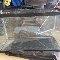 29 Gallon Fish Tank