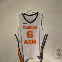 LeBron James Famu Jersey 